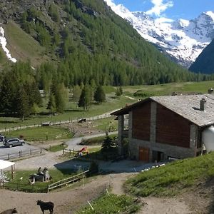 La Ferme Du Grand Paradis